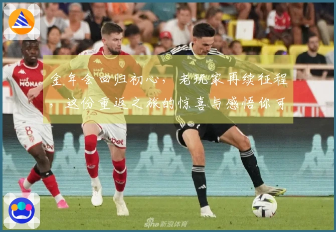 金年会回归初心，老玩家再续征程，这份重返之旅的惊喜与感悟你可知道