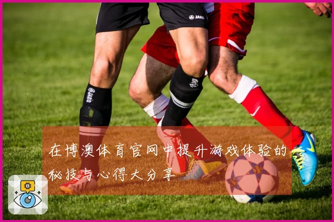 在博澳体育官网中提升游戏体验的秘技与心得大分享